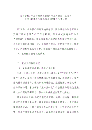 公司2023年工作总结及2024年工作计划(二篇).docx