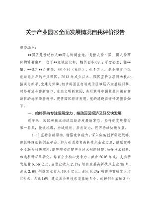关于产业园区全面发展情况自我评价报告.docx