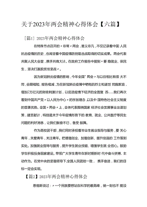 关于2023年两会精神心得体会【六篇】.docx