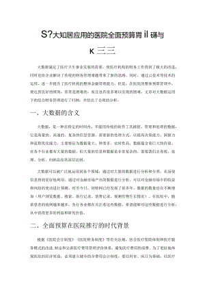 基于大数据应用的医院全面预算管理问题与改进建议.docx