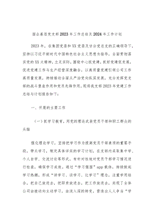 国企基层党支部2023年工作总结及2024年工作计划.docx