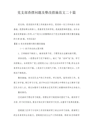 党支部查摆问题及整改措施范文二十篇.docx