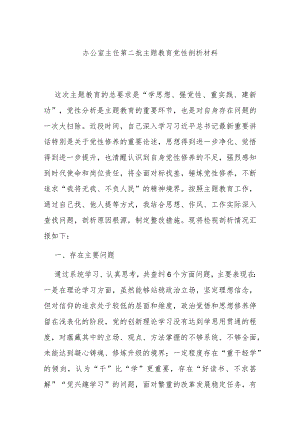 办公室主任第二批主题教育党性剖析材料.docx