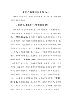 副县长年度述职述廉述德报告2023.docx