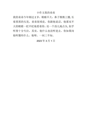 我的弟弟.docx