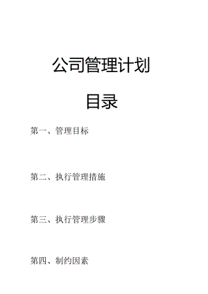 公司管理计划.docx