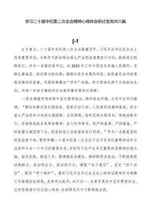 学习二十届中纪委二次全会精神心得体会研讨发言共六篇.docx