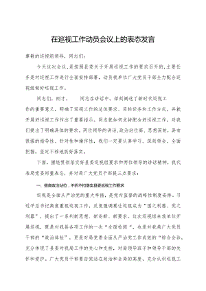 在巡察动员会议上表态发言.docx
