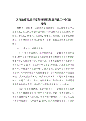 区行政审批局党支部书记抓基层党建工作述职报告.docx