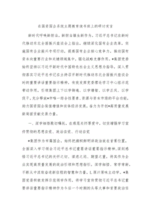 在国资国企系统主题教育读书班上的研讨发言.docx
