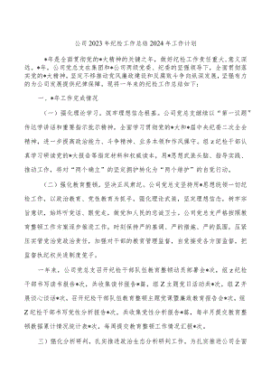 公司2023年纪检工作总结2024年工作计划.docx