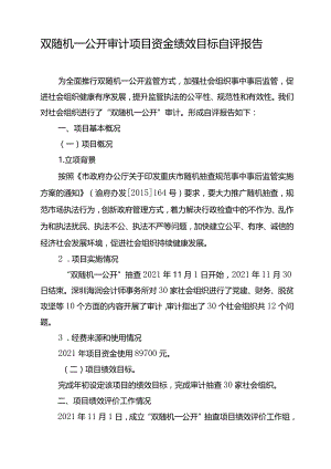 双随机一公开审计项目资金绩效目标自评报告.docx