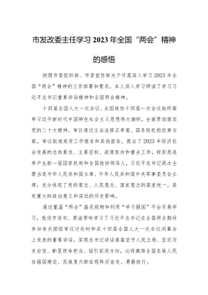 市发改委主任学习2023年全国“两会”精神的感悟.docx