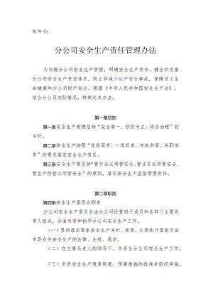 安全生产责任管理办法.docx