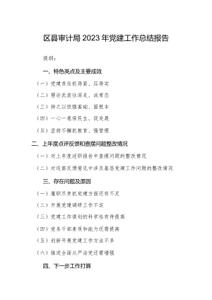 区县审计局2023年党建工作总结报告.docx