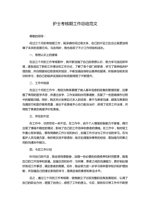 护士考核期工作总结范文.docx