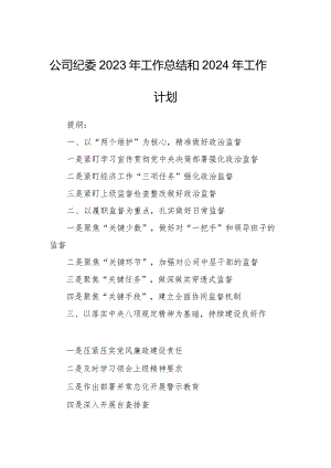 公司纪委2023年工作总结和2024年工作计划.docx