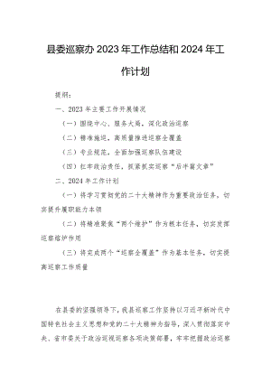 县委巡察办2023年工作总结和2024年工作计划.docx
