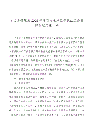 县应急管理局2023年度安全生产监管执法工作计划.docx