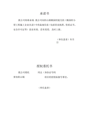 承诺书(4).docx