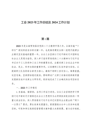 工会2023年工作总结及2024工作计划两篇.docx