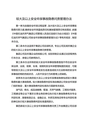 安全环保事故隐患问责管理办法.docx