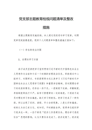 党支部第二次主题教育检视问题清单及整改措施.docx