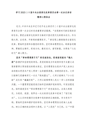 学习2023二十届中央全面深化改革委员会第一次会议讲话精神心得体会3篇.docx