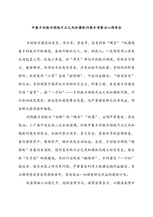 开展乡村振兴领域不正之风和腐败问题专项整治心得体会2篇.docx