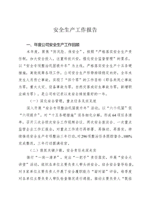 安全生产工作报告.docx