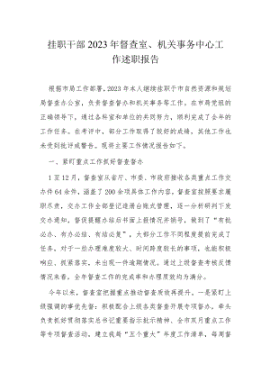 挂职干部2023年督查室.docx