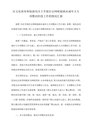 2022年区文化体育和旅游局关于开展打击网吧接纳未成年人专项整治阶段工作的情况汇报.docx