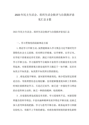 2023年民主生活会、组织生活会批评与自我批评意见汇总2篇.docx