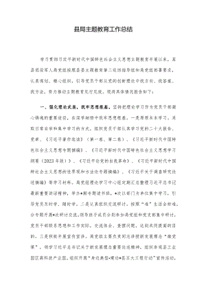 县局主题教育工作总结.docx