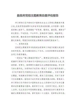 县政府党组主题教育自查评估报告.docx