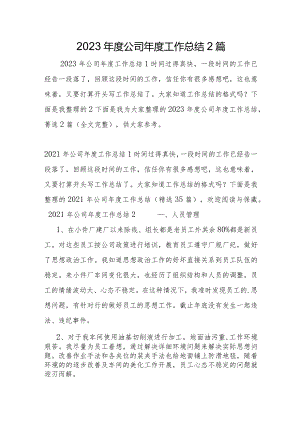 2023年公司年度工作总结2篇.docx