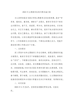 2023年主题教育检视问题实施方案.docx