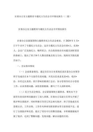 区委办公室主题教育专题民主生活会召开情况报告(二篇).docx