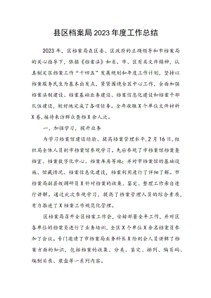 县区档案局2023年度工作总结.docx