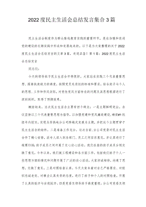 2022度民主生活会总结发言集合3篇.docx