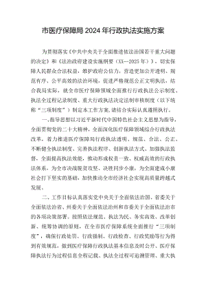市医疗保障局2024年行政执法实施方案.docx