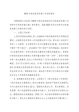 2023年度抓基层党建工作述职报告(4).docx