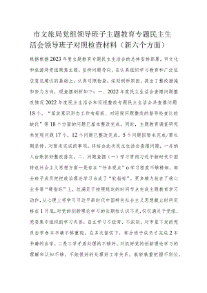 市文旅局党组领导班子主题教育专题民主生活会领导班子对照检查材料.docx