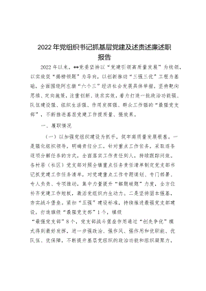2022年党组织书记抓基层党建及述责述廉述职报告.docx