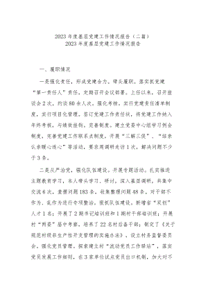 2023年度基层党建工作情况报告(二篇).docx