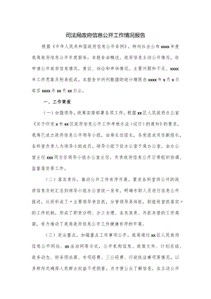 司法局政府信息公开工作情况报告.docx
