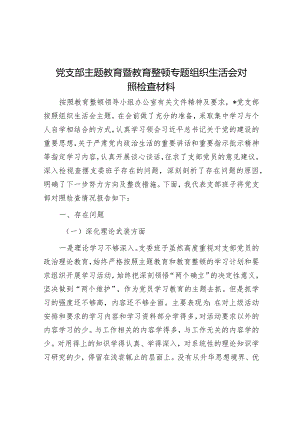 2023年主题教育暨教育整顿专题组织生活会对照检查材料（纪检）（党支部）.docx