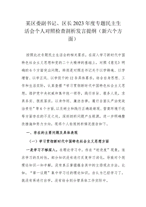 某区委副书记、区长2023年度专题民主生活会个人对照检查剖析发言提纲（新六个方面）.docx