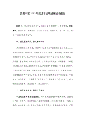 党委书记2023年度述学述职述廉述法报告.docx