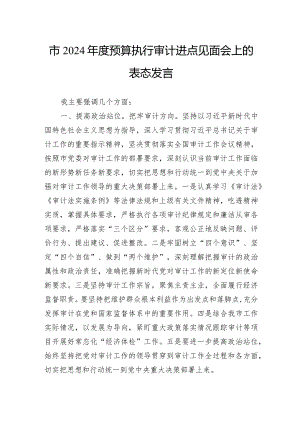 市2024年度预算执行审计进点见面会上的表态发言.docx